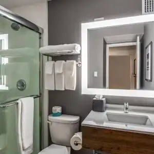 Ramada by Wyndham Dallas Love Field - 43