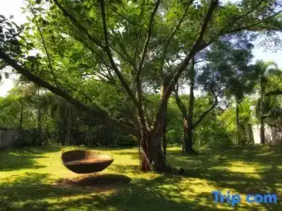 Huizhou Migratory Birds Resort - 133