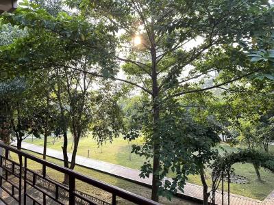 Lumbini Buddha Garden Resort - 26