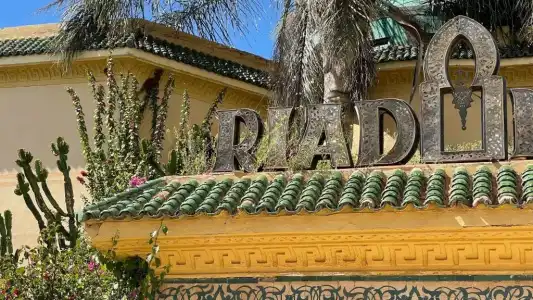 Riad Noumidya - 33