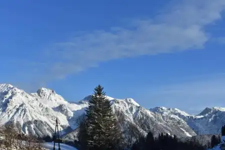 Vitaler Landauerhof - 57