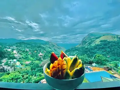 The View Ella - 17