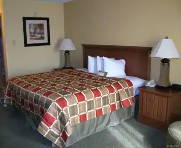 Best Western Posada Ana Inn-Airport - 1