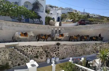Sunny Days Fira Santorini - 7