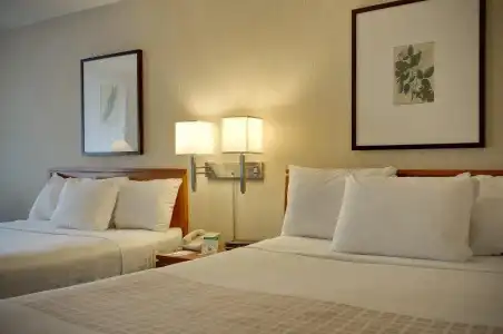 Vagabond Inn Executive Old Town - 3