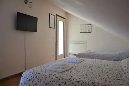 Betulla dell'Etna - 1