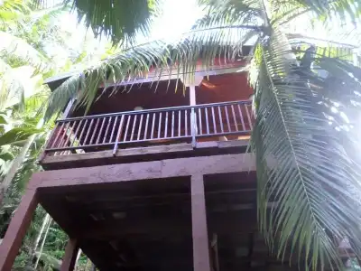 Hillside Retreat - 22