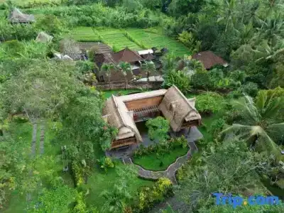 Permata Ayung Private Estate - Adults Only - 183