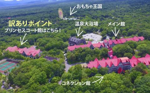 Green Plaza Karuizawa - 30