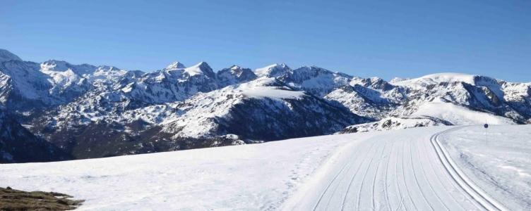 Hôtel Le Pelvoux - 8