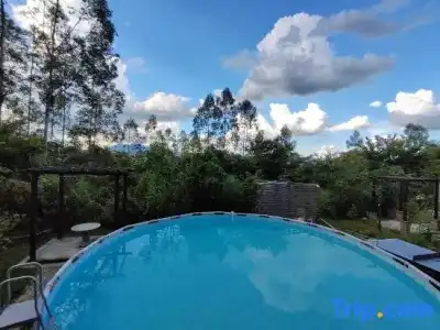 Tranquil Shores Holiday Apartments - 272