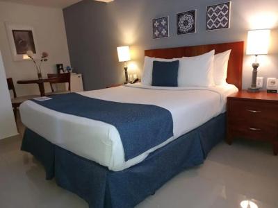 Hodelpa Caribe Colonial - 51