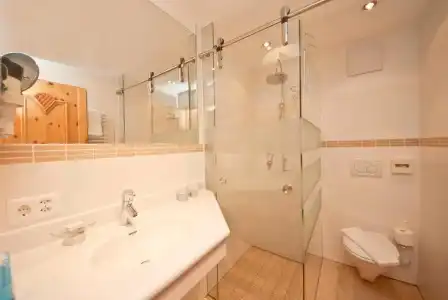 Hôtel des Alpes - 44