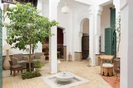 Riad Swaka - 7