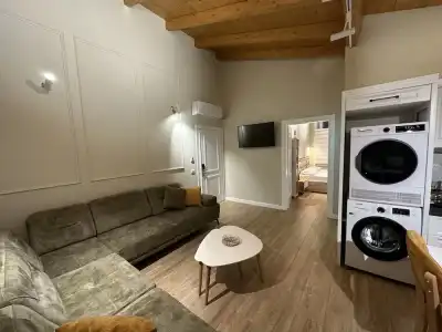 Arial Penthouse Suites - 29