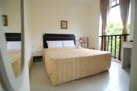 Asphodel Inn - Newly Renovated - 4