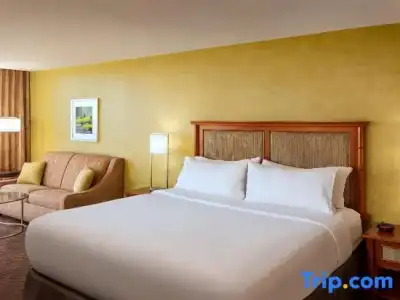 Holiday Inn AUSTIN-TOWN LAKE by IHG - 77