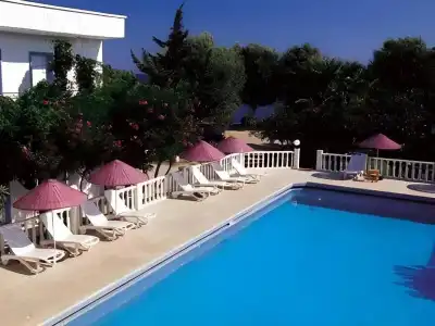 Yilmaz - 12