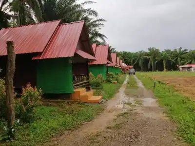 Khao Sok Evergreen House - 33