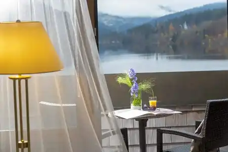 Maritim TitiseeTitisee-Neustadt - 112