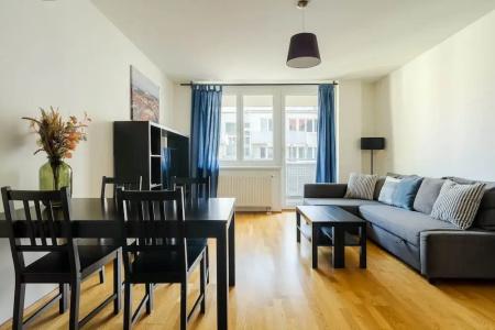 Business & Family Ambiente Apartments - 43