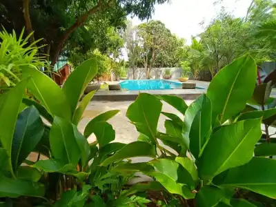 My Village - 11
