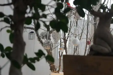 La Bella Trani - 14