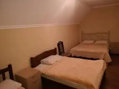 Guest House Borjomi Forest - 2
