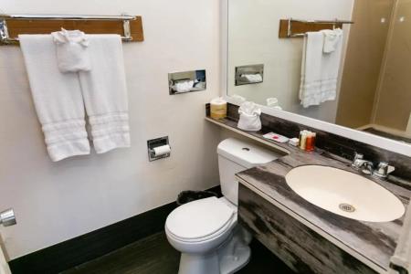 Anaheim Discovery Inn and Suites - 41