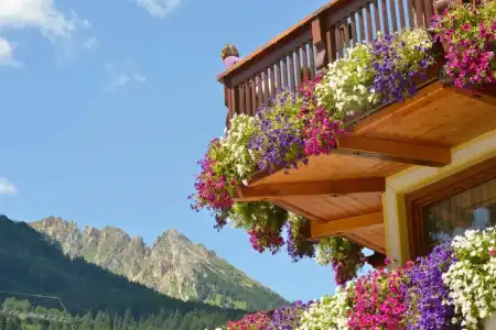Alle Alpi - 3