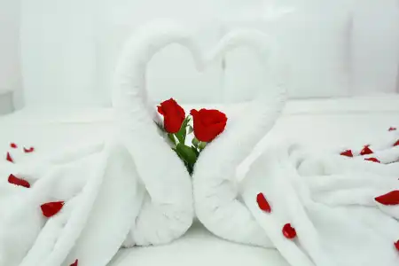 Valentine - 43