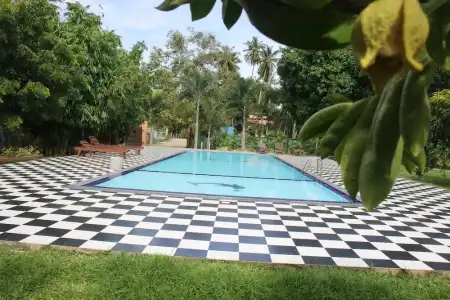 The Grand Yala - 7