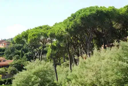 Les Jardins De Sainte Maxime - 25