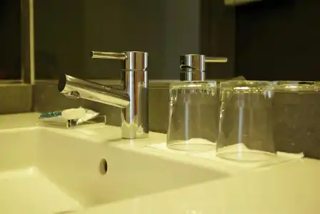 Alga - 8