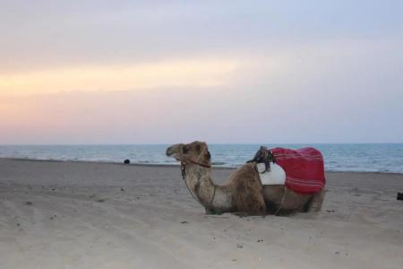 Regency Tunis - 23