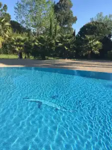 La Romarine - 16
