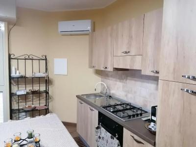 B&B Agave - 21