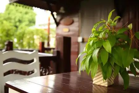 Diana Garden Resort & Lodge - 177