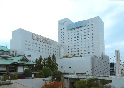 Fujita Fukui - 0