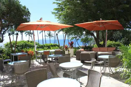 Hyatt Regency Maui Resort & Spa - 36