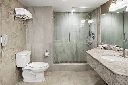 Sheraton Laval - 58