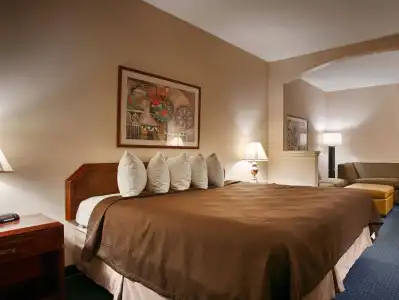 Comfort Suites Plano East - Richardson - 4
