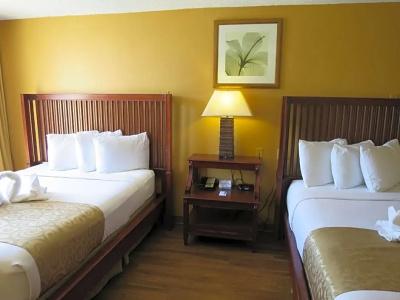 B&B Orlando International Drive Near Universal - Newly Renovated! - 129