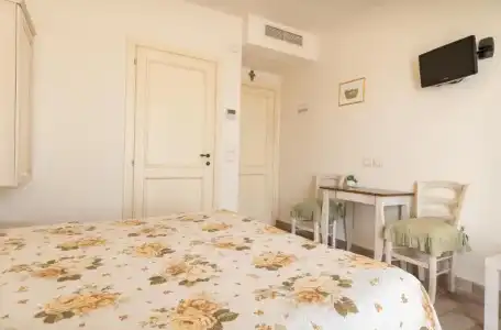 Rosa di Assisi - 35