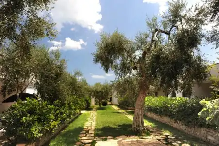 Villaggio San Matteo - 56