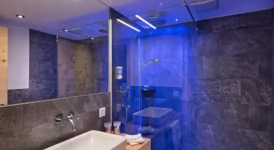 Hôtel des Alpes - 8