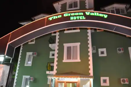 The Green Valley - 20
