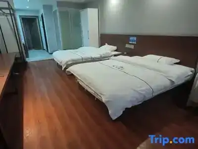 Tenho - 24