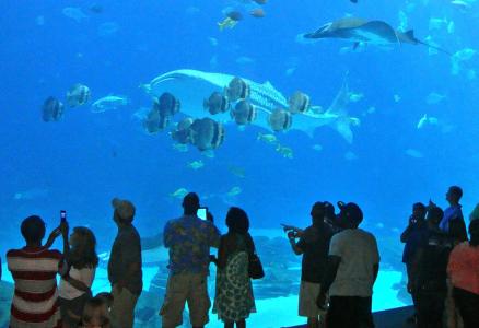 Arrayanes Playa Almuñecar - 18