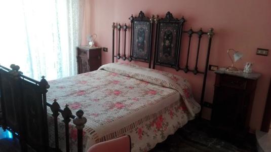 B&B Agave - 36